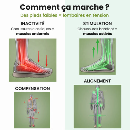 CHAUSSURE BAREFOOT
